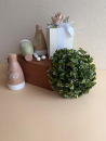 Gastgeschenk Oleria